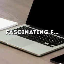 Fascinating Facts about Computer Science: Unlocking the Secrets of the Digital World